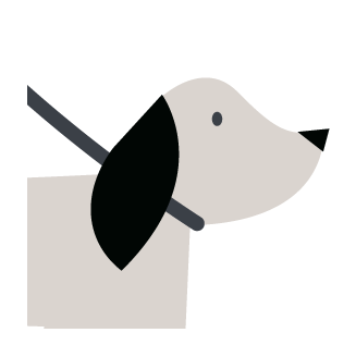 Grey dog's face